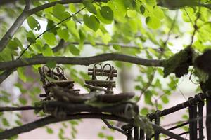 Miniature Chairs in Tree